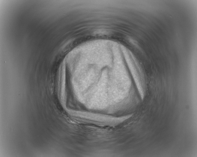 X0000065981015200603241934