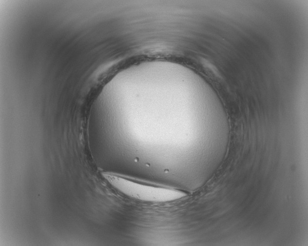 X0000065981016200603241934