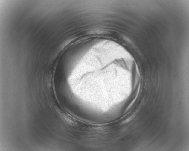 X0000065981017200603241934