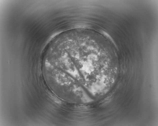 X0000065981019200603241934