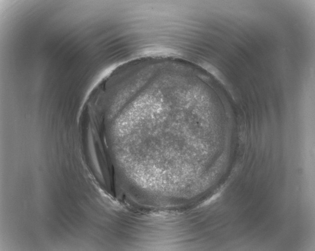 X0000065981022200603241934