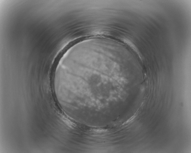 X0000065981023200603241934