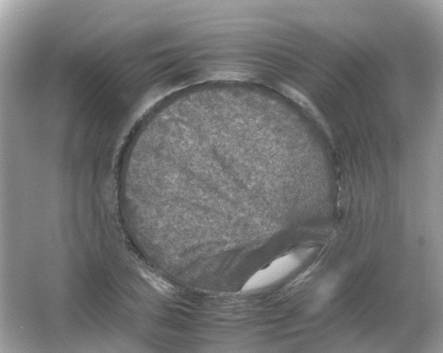 X0000065981027200603241934