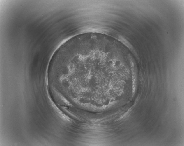 X0000065981028200603241934