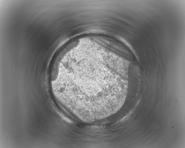 X0000065981029200603241934