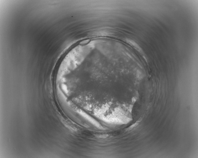 X0000065981031200603241934