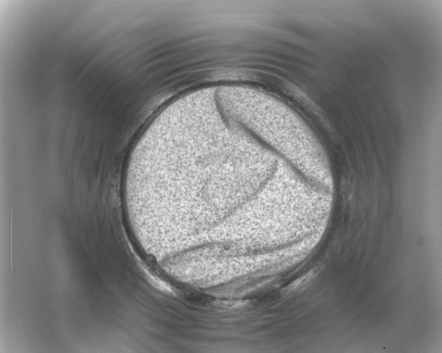 X0000065981033200603241934