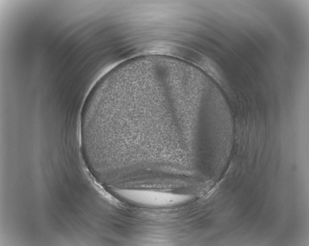 X0000065981036200603241934