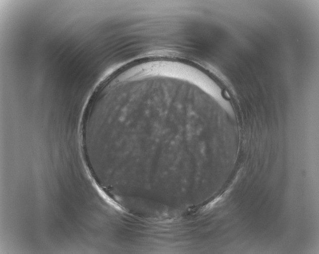 X0000065981037200603241934