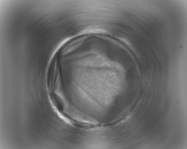 X0000065981038200603241934