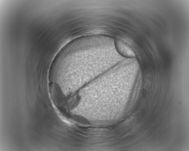 X0000065981039200603241934