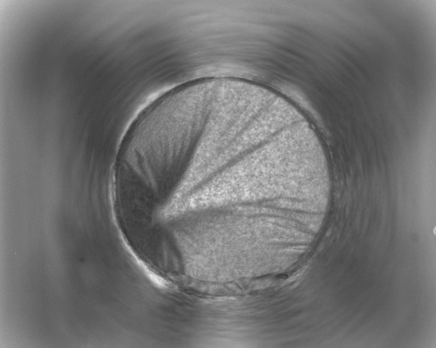 X0000065981040200603241934