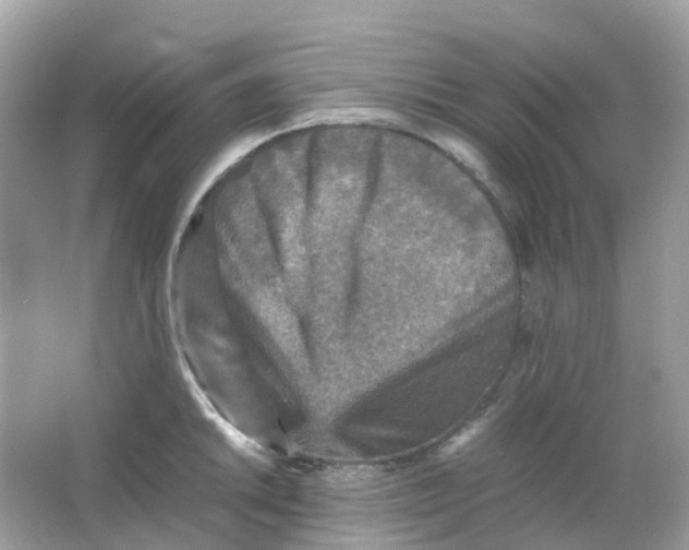 X0000065981046200603241934