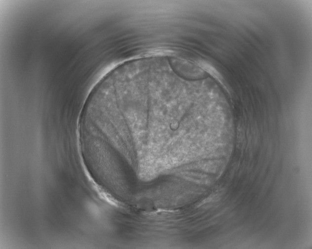 X0000065981047200603241934