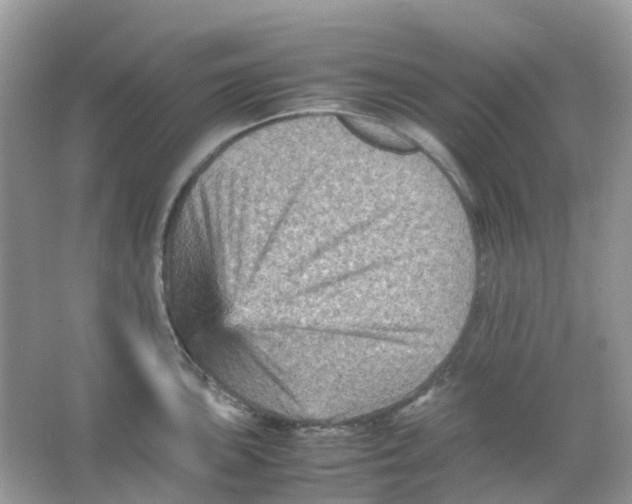 X0000065981051200603241934