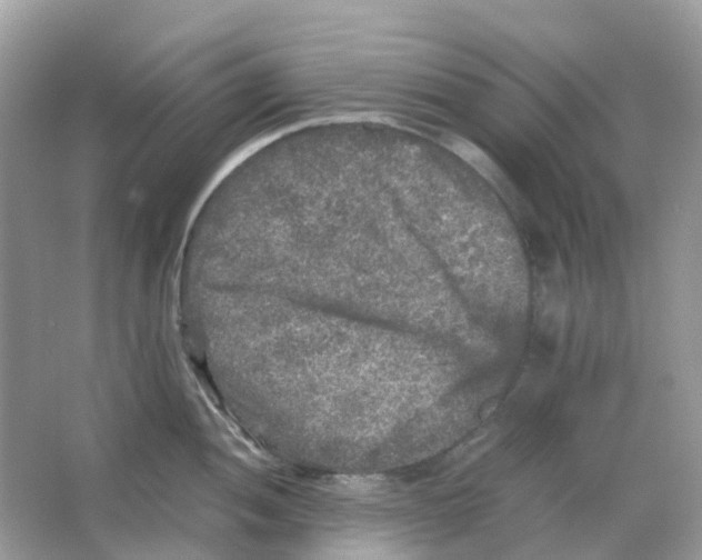 X0000065981052200603241934