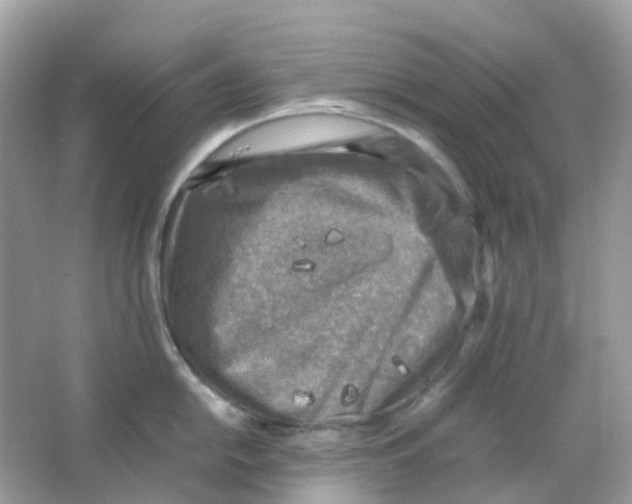 X0000065981054200603241934