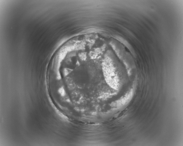 X0000065981055200603241934