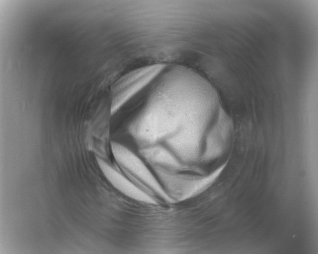 X0000065981058200603241933