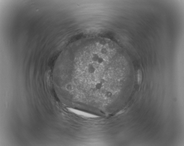 X0000065981059200603241933