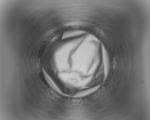 X0000065981062200603241933