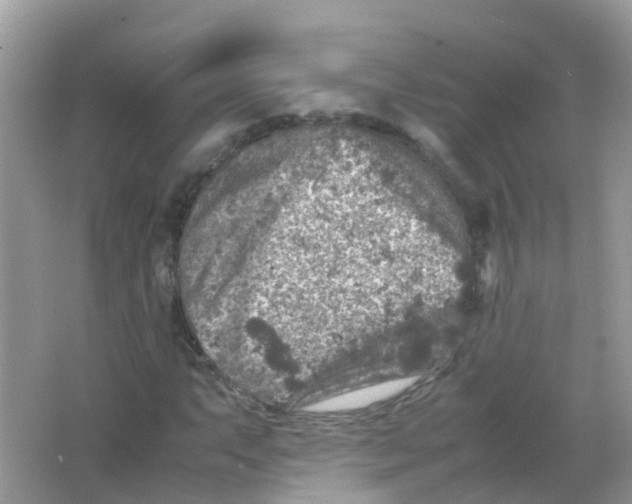 X0000065981063200603241933