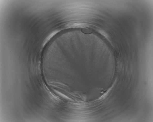 X0000065981066200603241933