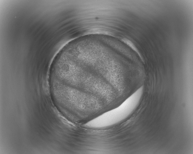 X0000065981068200603241933