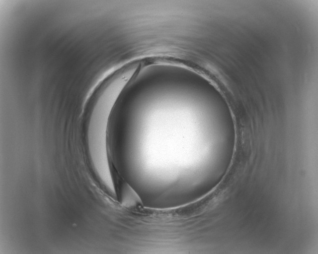 X0000065981069200603241933