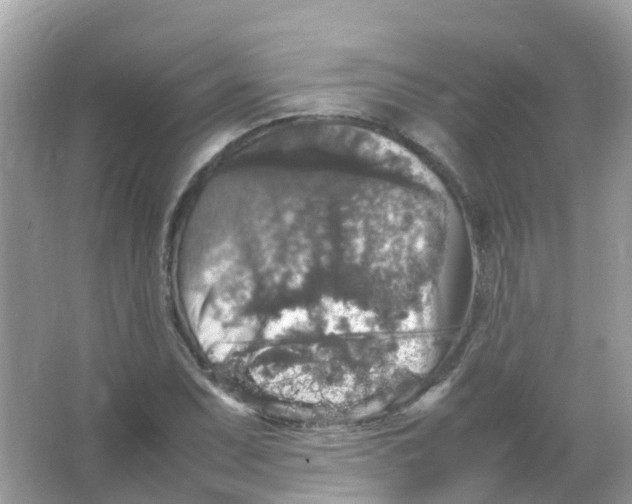 X0000065981071200603241933