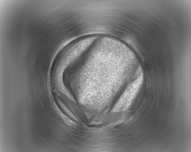 X0000065981072200603241933