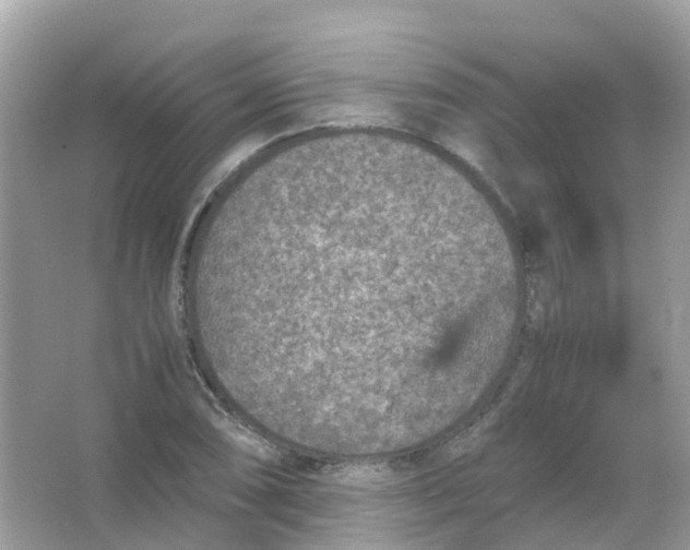 X0000065981074200603241933