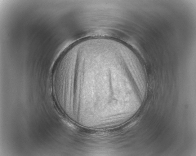 X0000065981075200603241933