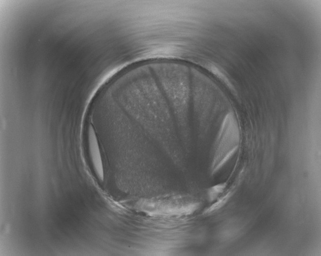 X0000065981077200603241933