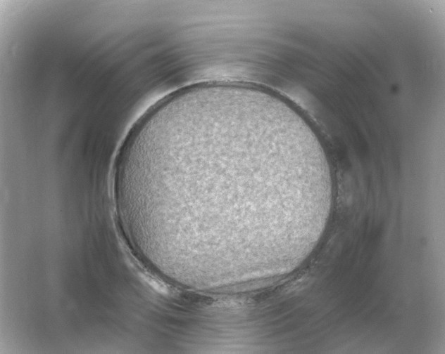 X0000065981078200603241933