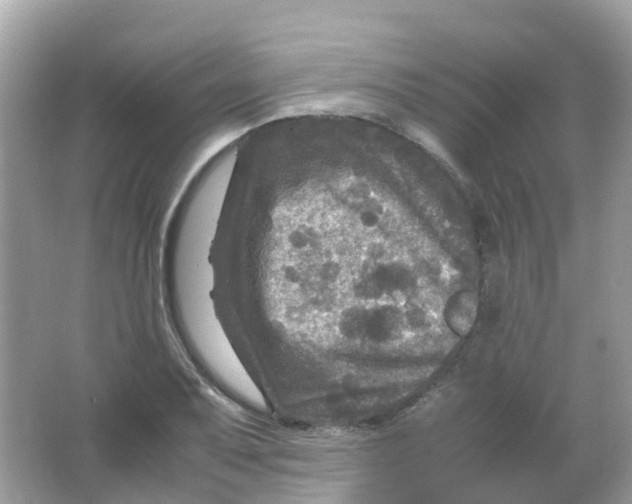 X0000065981079200603241933