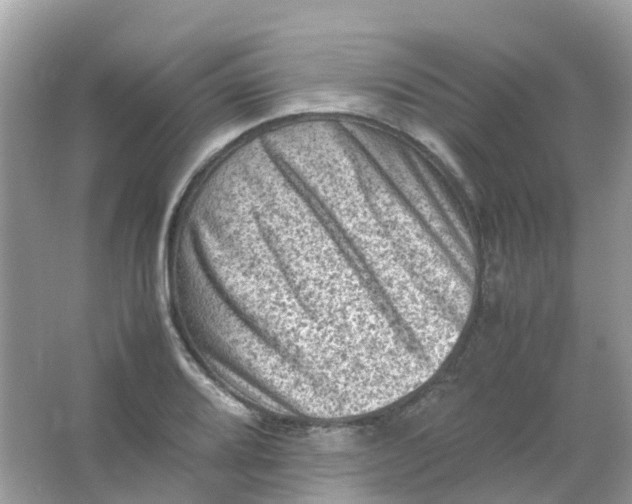 X0000065981080200603241933