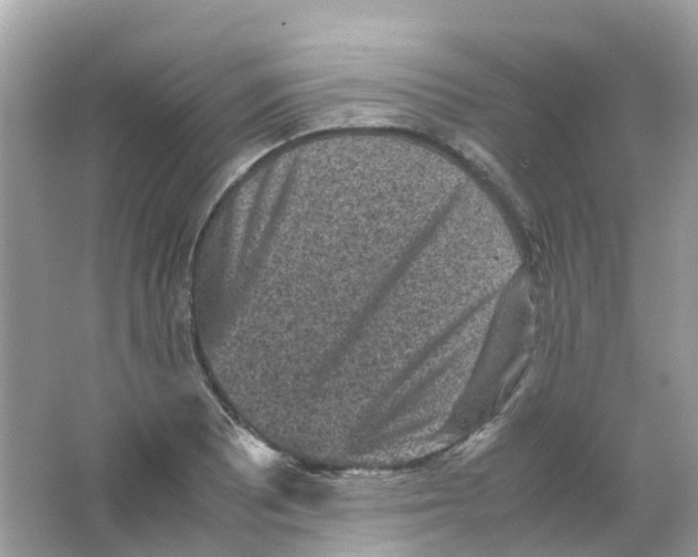 X0000065981081200603241933