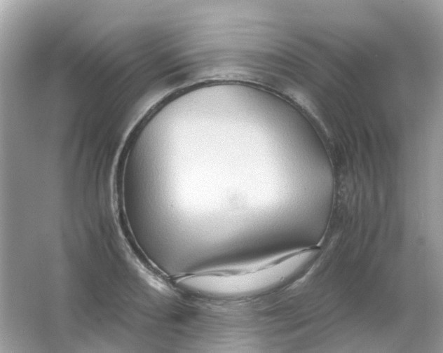 X0000065981082200603241933