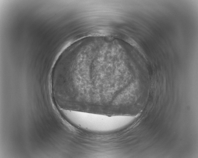 X0000065981083200603241933