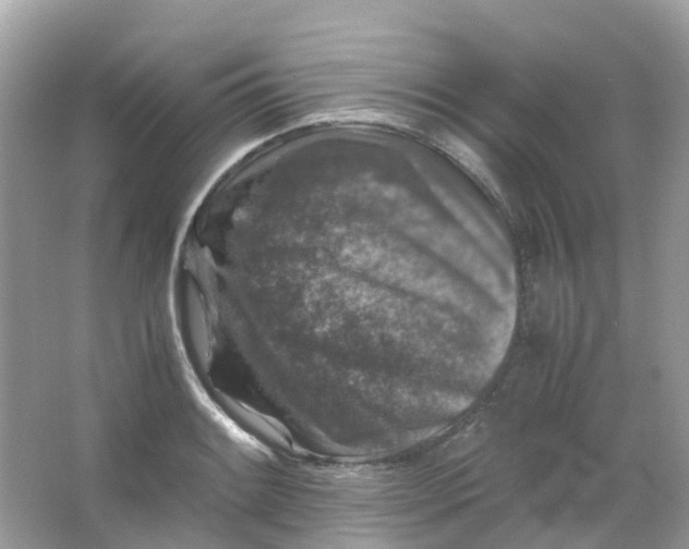 X0000065981084200603241933