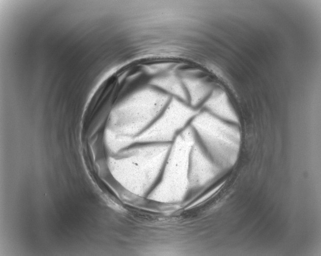 X0000065981085200603241933