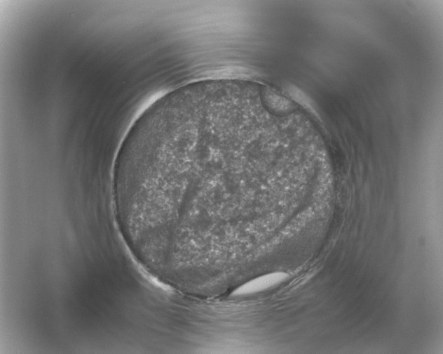 X0000065981087200603241933