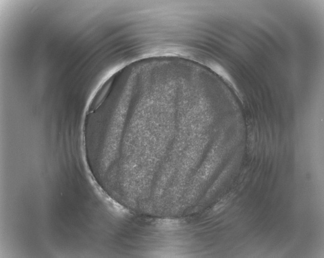 X0000065981088200603241933