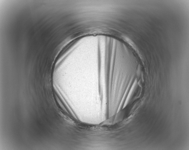 X0000065981089200603241933