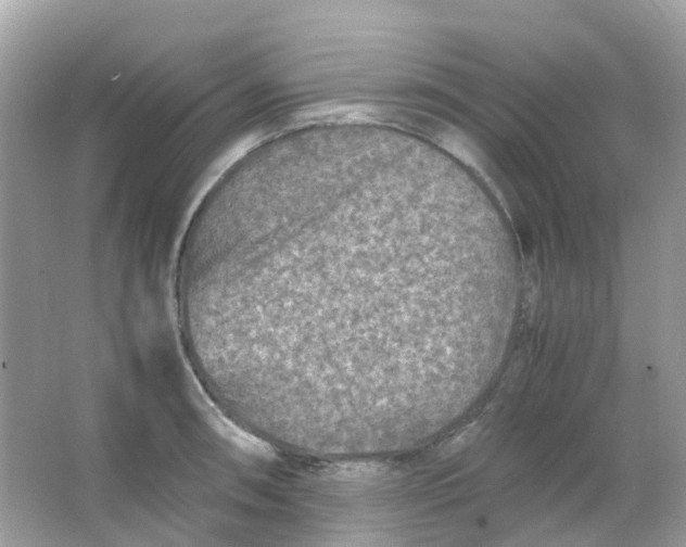 X0000065981090200603241933