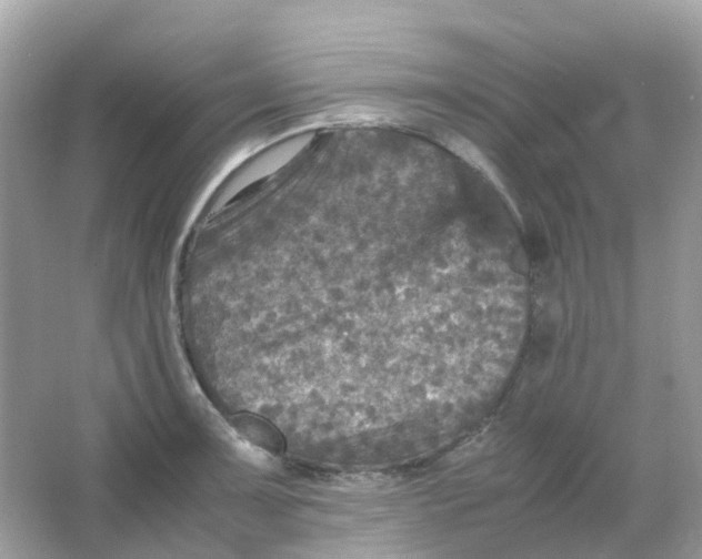 X0000065981091200603241933