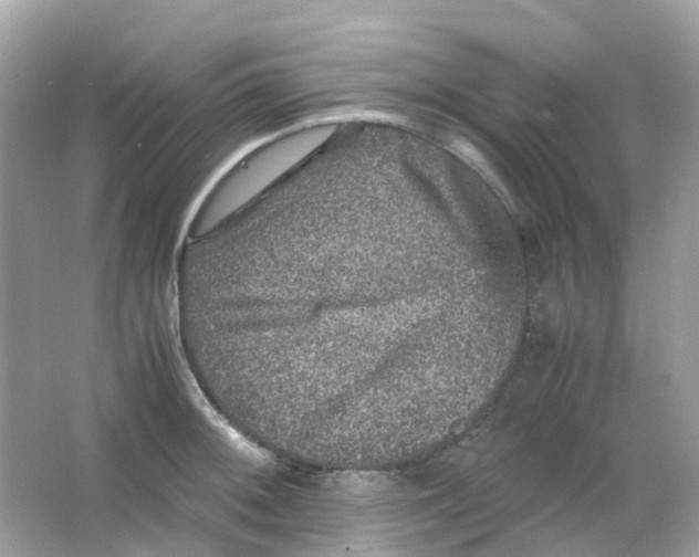 X0000065981092200603241933