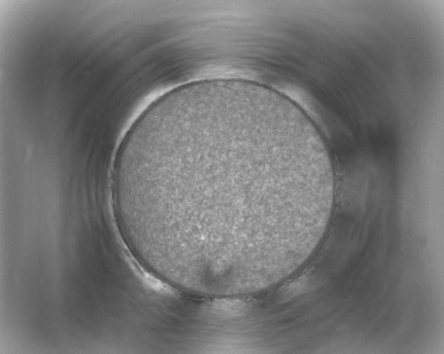 X0000065981094200603241933