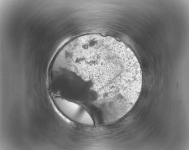 X0000065981095200603241933